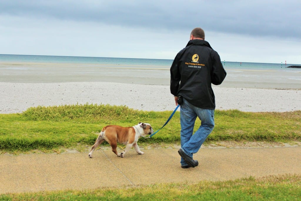 Jason training Iron Dog