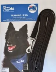 Recall Leads